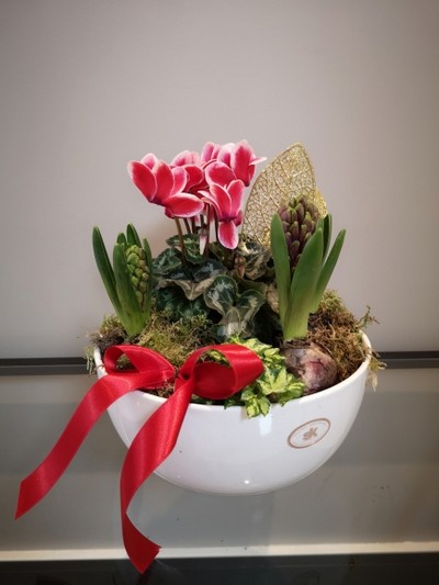 12inch white ceramic bowl Chrismas planter to include red cyclamen and hyacinth with Christmas decorations planted by florist in Croydon for Christmas delivery in CR0 CR2 CR3 CR4 CR5 CR6 CR7 CR8 BR4 SE25 SW16 SM5 SM6