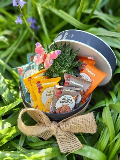 Hat box perfect gift for a boy made of indoor plant in ceramic pot and walkers biscuits arranged by florist in Croydon for same day delivery in Croydon 