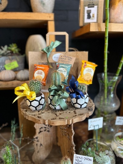 Ceramic football pots with cactuses decorated with walkers biscuits made by florist in Croydon 