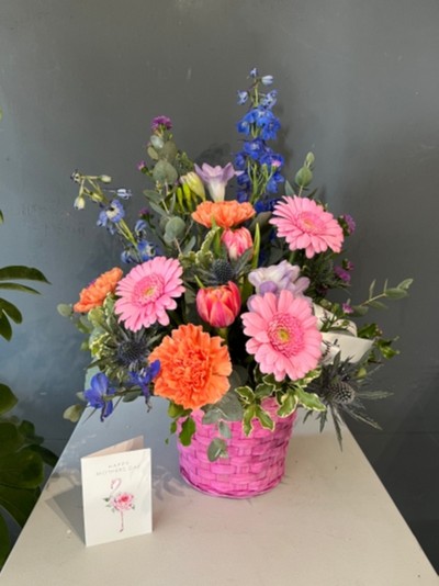 Hot pink wicker basket arranged with finest blooms to include roses, delphiniums, daisies, carnations, scented freesias and double tulips with eucalyptus By florist in Croydon, Surrey, UK