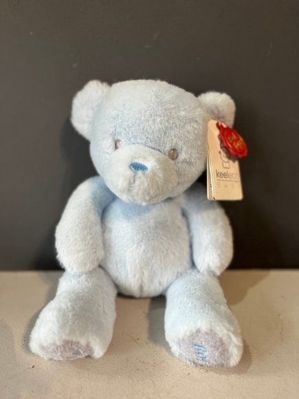 Blue Teddy 20cm