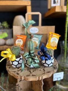 Ceramic football pots with cactuses decorated with walkers biscuits made by florist in Croydon 